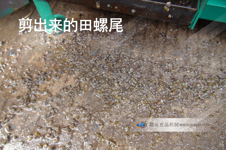 ������(l��i)������β-ȫ�Ԅ�(d��ng)���ݼ�β�C(j��)