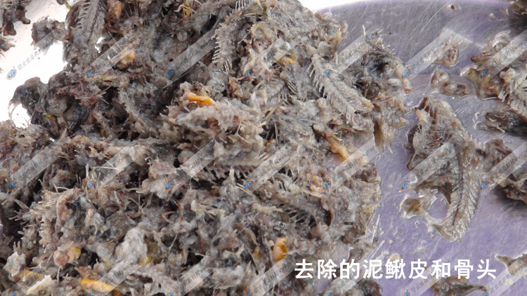 去除的泥鰍骨和泥鰍皮-采泥鰍肉-贛云機械