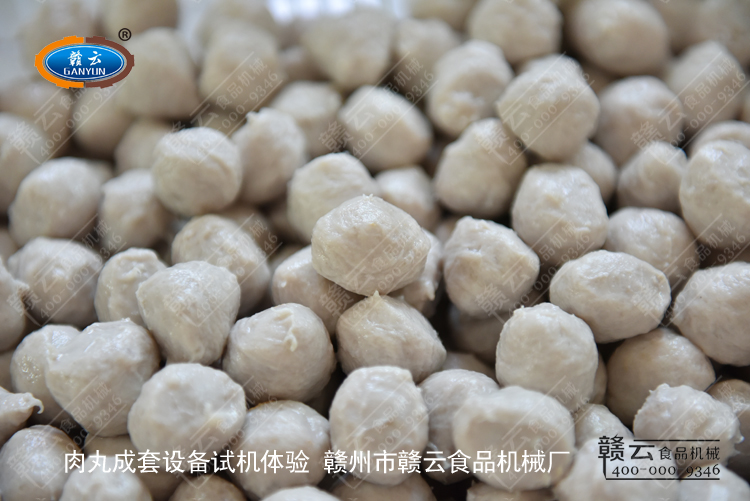 本次試機做的豬肉丸