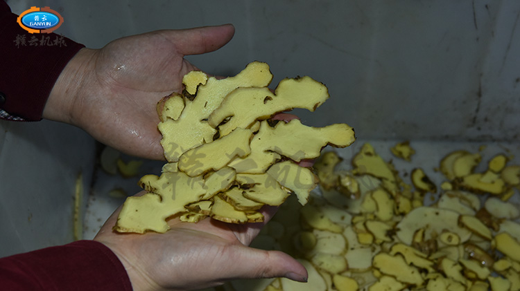 ������������ƬЧ��