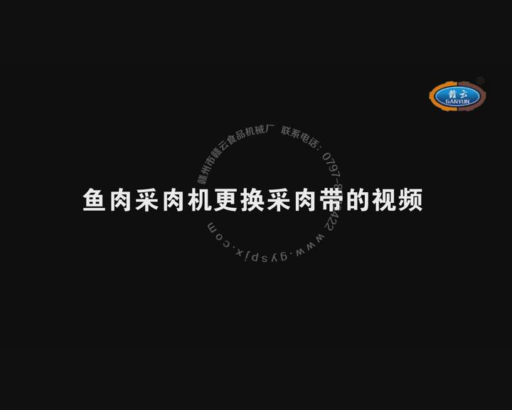 �~�����C���Q���⎧