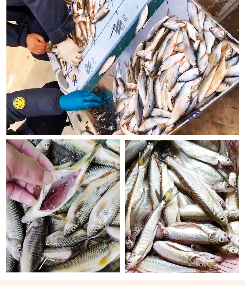 ��С�~�C�F(xi��n)�����~����