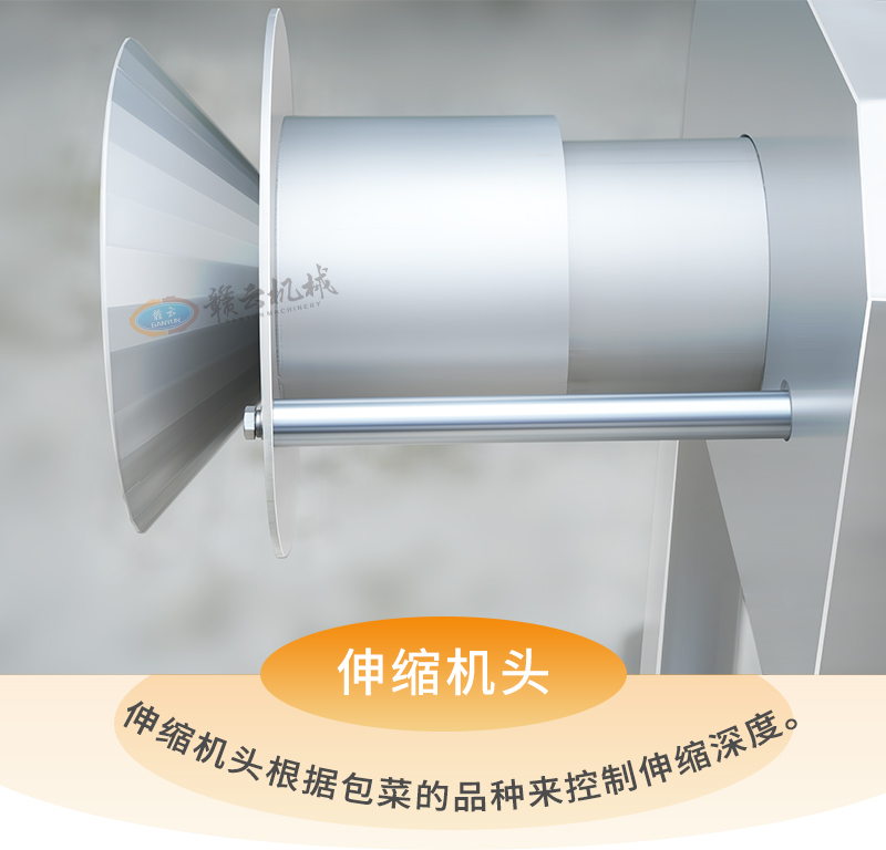 ����s�C�P